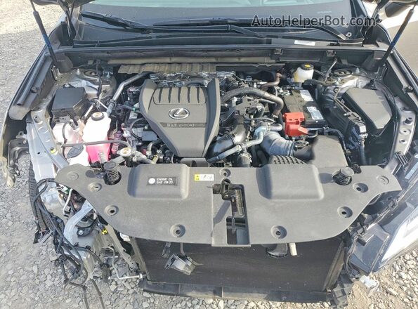 2T2HGCEZ6SC069089 2025 LEXUS NX Gray Vista del compartimento del motor