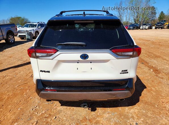 2T3EWRFV3LW089316 2020 TOYOTA RAV4 Белый Вид сзади
