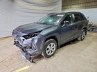 2019 Toyota Rav4 Le Gray vin: 2T3F1RFV9KC033366