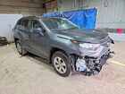 2019 Toyota Rav4 Le Gray vin: 2T3F1RFV9KC033366
