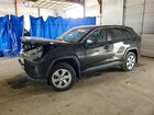 2025 Toyota Rav 4 Black vin: 2T3F1RFV9SW601971