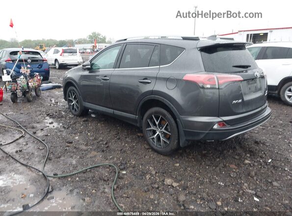 2T3JFREV0HW586251 2017 TOYOTA RAV4 Серый Задняя левая четверть