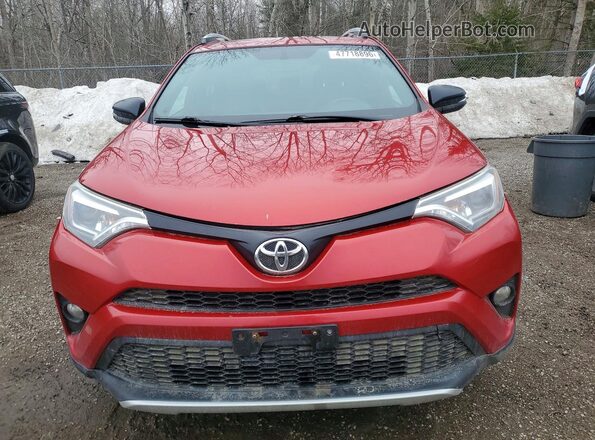 2T3JFREV6GW510905 2016 TOYOTA RAV4 Красный Вид спереди