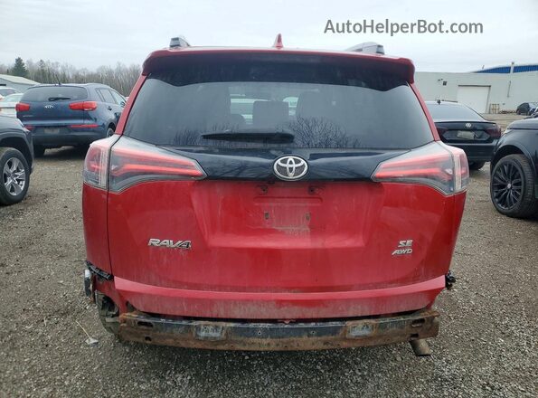 2T3JFREV6GW510905 2016 TOYOTA RAV4 Красный Вид сзади