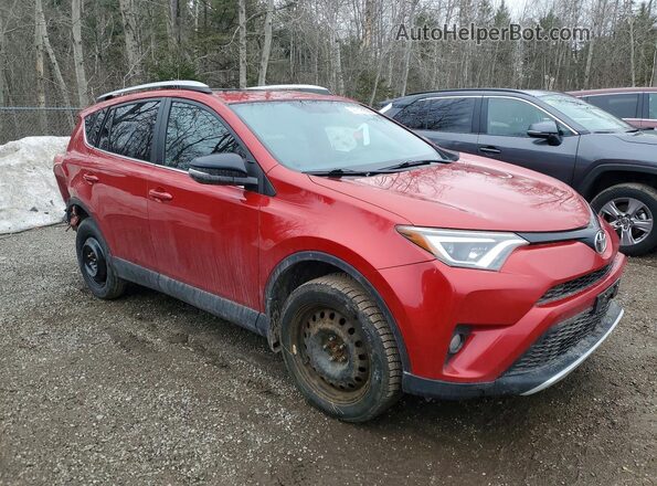 2T3JFREV6GW510905 2016 TOYOTA RAV4 Красный Передняя правая четверть