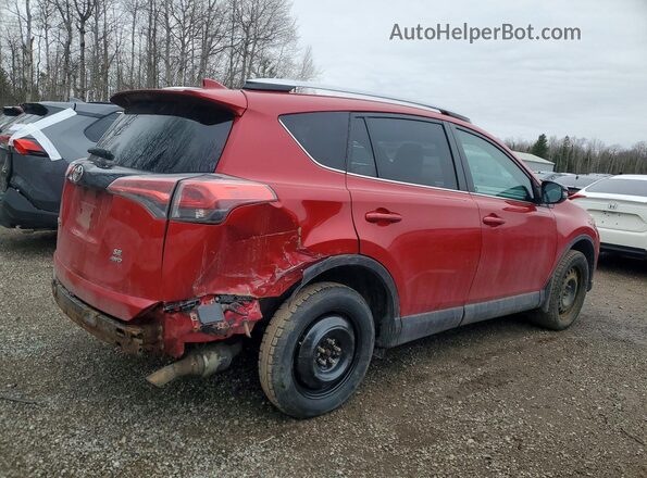 2T3JFREV6GW510905 2016 TOYOTA RAV4 Красный Задняя правая четверть