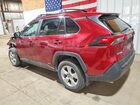 2019 Toyota Rav4 Burgundy vin: 2T3MWRFV7KW014810