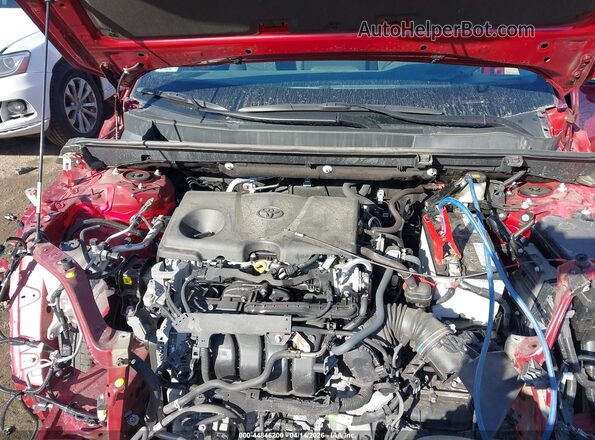 2T3P1RFV2PW368530 2023 TOYOTA LE Red Вид ззаду