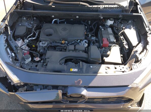 2T3P1RFVXRC397536 2024 TOYOTA LE Серый Вид сзади
