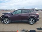 2017 Toyota Rav4 Xle Purple vin: 2T3RFREV8HW549547