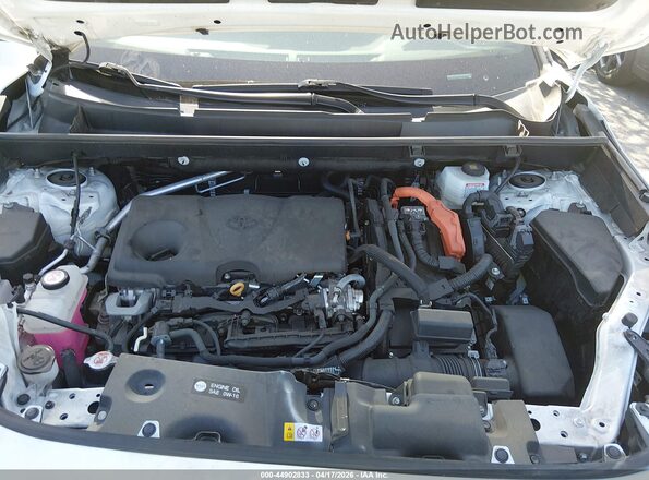 2T3T6RFV9RW049290 2024 TOYOTA RAV4 HYBRID White Widok z tyłu