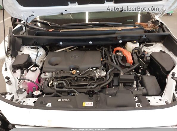 2T3UWRFV1SW282669 2025 TOYOTA RAV4 HYBRID White Widok z tyłu