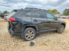 2025 Toyota Rav4 Hybrid Woodland Edition Black vin: 2T3UWRFV5SW254681