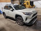 2023 Toyota Rav4 Woodland Edition Tan vin: 2T3UWRFV7PW156498