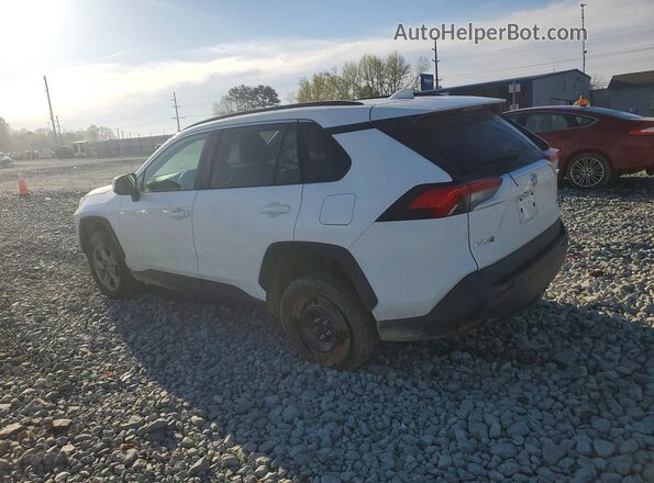 2T3W1RFV3PC231576 2023 TOYOTA LE White Tył lewy