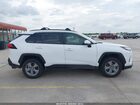 2025 Toyota Rav4 Xle White vin: 2T3W1RFVXSC365610