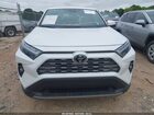 2025 Toyota Rav4 Limited White vin: 2T3Y1RFV1SW416662