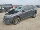 2019 Toyota Rav4 Limited Gray vin: 2T3Y1RFV7KW015861