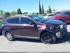 2017 Toyota Rav4 Le Темно-бордовый vin: 2T3ZFREV7HW365121