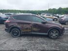 2016 Toyota Rav4 Le Темно-бордовый vin: 2T3ZFREV8GW241907
