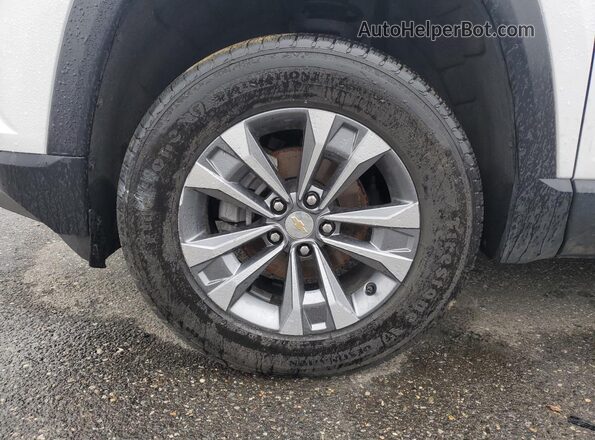 3GNAXHEG2SL213873 2025 CHEVROLET EQUINOX Белый 