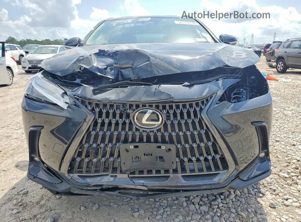 2T2AGCEZXSC094398 2025 LEXUS NX Black Widok z tyłu