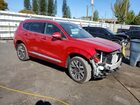 2023 Hyundai Santa Fe Calligraphy Красный vin: 5NMS5DAL3PH577240