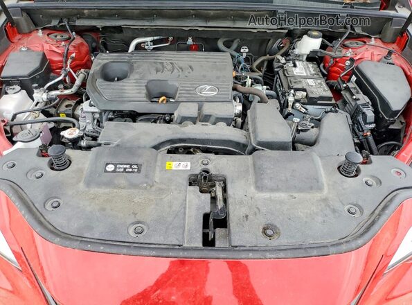 2T2ADCAZ0RC007052 2024 LEXUS NX Красный Вид подкапотного пространства