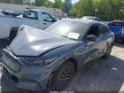 2024 Ford Mustang Mach-e Premium Gray vin: 3FMTK3R41RMA15658