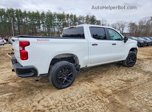 3GCPDCEK8RG204116 2024 CHEVROLET SILVERADO White Trasero derecho