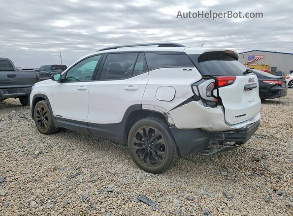 3GKALMEV7LL310813 2020 GMC TERRAIN White Задня ліва чверть