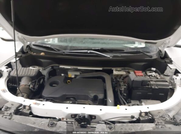 3GNAXPEG5SL172570 2025 CHEVROLET EQUINOX Белый Вид сзади