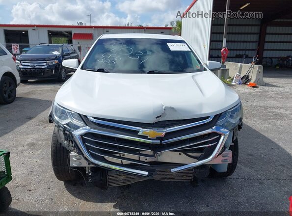 3GNAXSEV9JS599031 2018 CHEVROLET EQUINOX Белый Вид задней части салона
