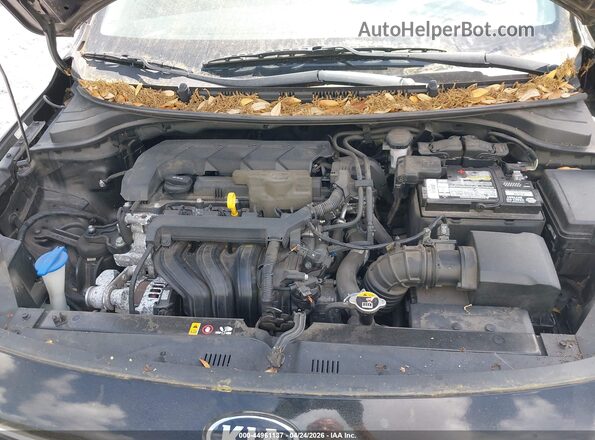 3KPA24AD7LE336702 2020 KIA RIO Black Widok z tyłu