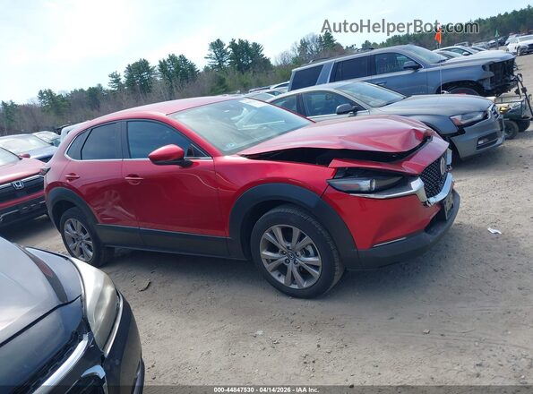 3MVDMBBL1MM303606 2021 MAZDA CX-30 Красный Вид задней части салона