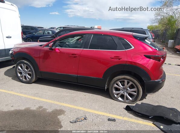 3MVDMBCL5MM230724 2021 MAZDA CX-30 Красный Панорамный вид салона 360°