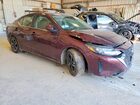 2024 Nissan Sentra Sv Maroon vin: 3N1AB8CVXRY296929 2024 Nissan Sentra Sv Maroon vin: 3N1AB8CVXRY296929