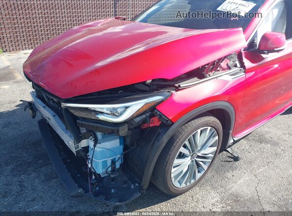 3PCAJ5DBXPF123360 2023 INFINITI QX50 Красный 