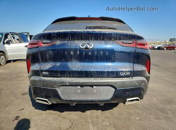 3PCAJ5JR4SF102675 2025 INFINITI QX55 Синий Вид сзади