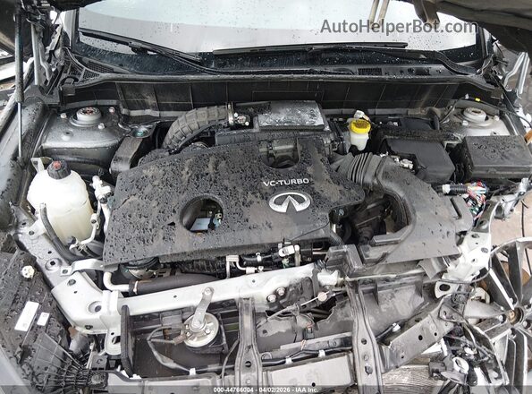 3PCAJ5JR8RF108862 2024 INFINITI QX55 Gray Widok z tyłu