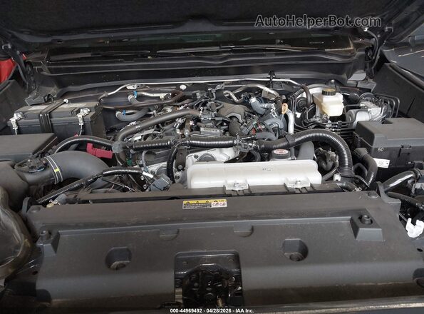 3TMLB5JN0RM084944 2024 TOYOTA TACOMA Gray Rear view