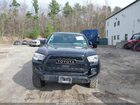 2023 Toyota Tacoma Trail Edition Бежевый vin: 3TYCZ5AN9PT117145