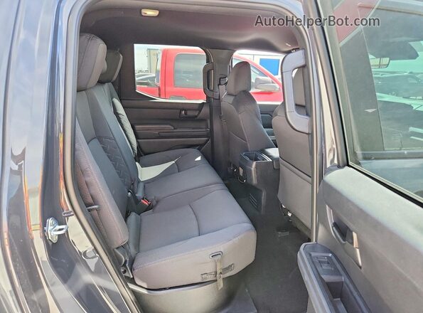 3TYKB5FN7ST029972 2025 TOYOTA TACOMA Gray Widok tylnych siedzeń