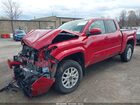 2024 Toyota Tacoma Sr5 Красный vin: 3TYLB5JN7RT041321