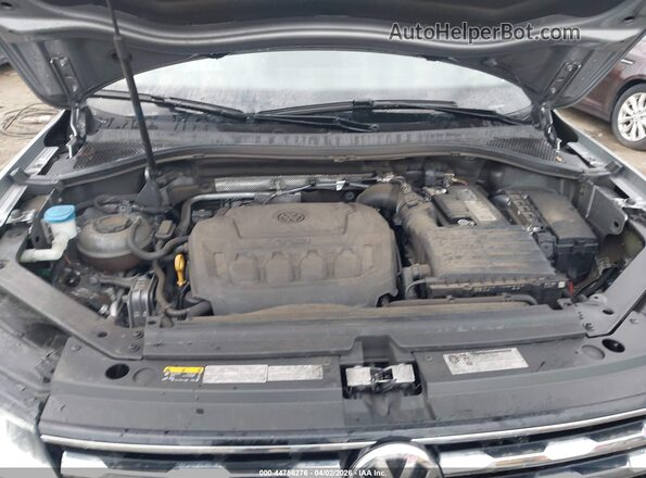3VV0B7AX8LM117004 2020 VOLKSWAGEN TIGUAN Серебряный Вид сзади