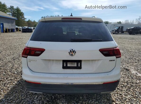 3VV2B7AX8MM010321 2021 VOLKSWAGEN TIGUAN Белый Вид сзади