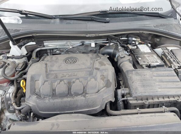 3VV3B7AX3MM031520 2021 VOLKSWAGEN TIGUAN Белый Вид сзади