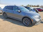 2023 Volkswagen Tiguan Se Gray vin: 3VVMB7AX5PM018213