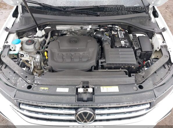 3VVMB7AX8PM024376 2023 VOLKSWAGEN TIGUAN White Vista trasera