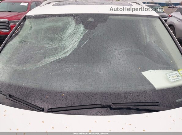 3VVMB7AX8PM024376 2023 VOLKSWAGEN TIGUAN White 
